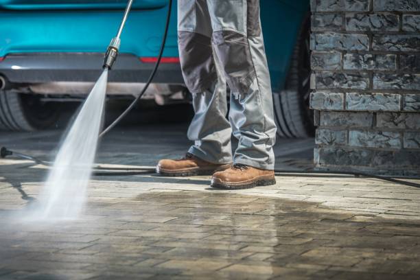 Best Soft Washing  in Oskaloosa, IA