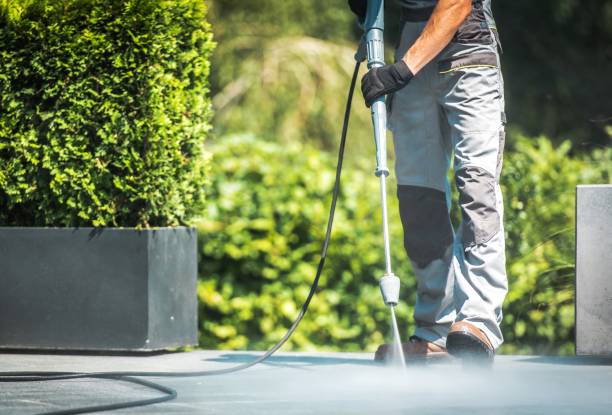 Best Gutter Cleaning  in Oskaloosa, IA