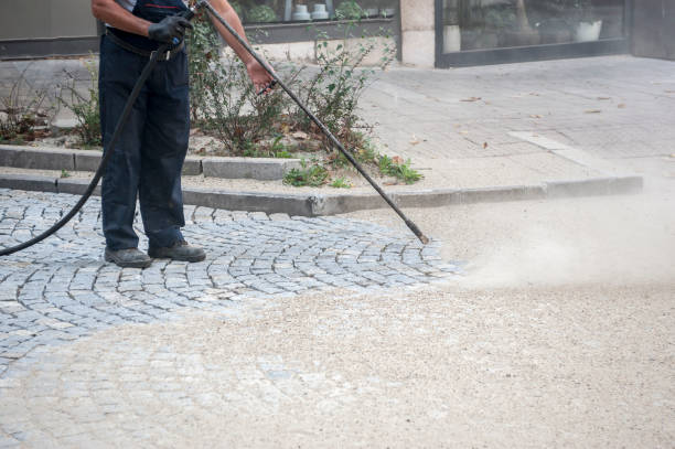Best Animal Enclosure Cleaning  in Oskaloosa, IA